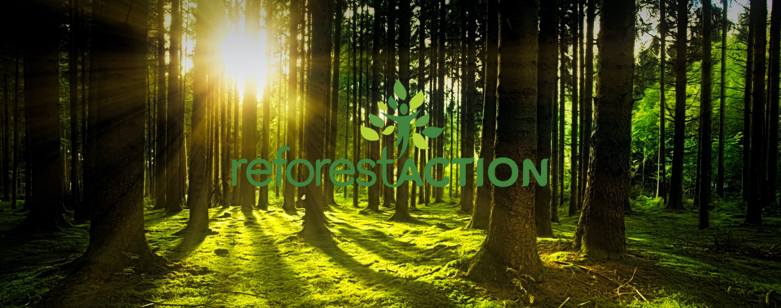 Actu Reforestaction Header